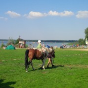 Reiten